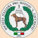 PIO TARQUINI - Partecipazione - 13/05/2025 _ 13/05/2025