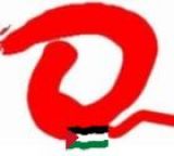 FILOMENA CIOPPI - Partecipazione - 11/04/2026 _ 11/04/2026